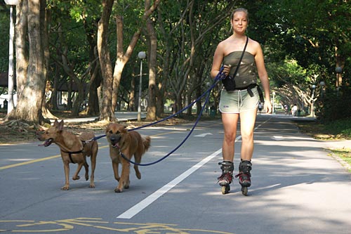 Inline skating in Singapore