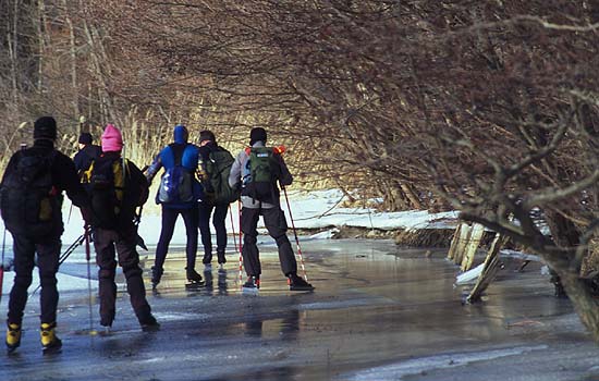 Ice skating on Björköfjärden and Lidöfjärden.