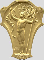 SM inlines 2010, medalj