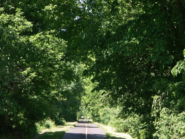 Ottawa River Pathway