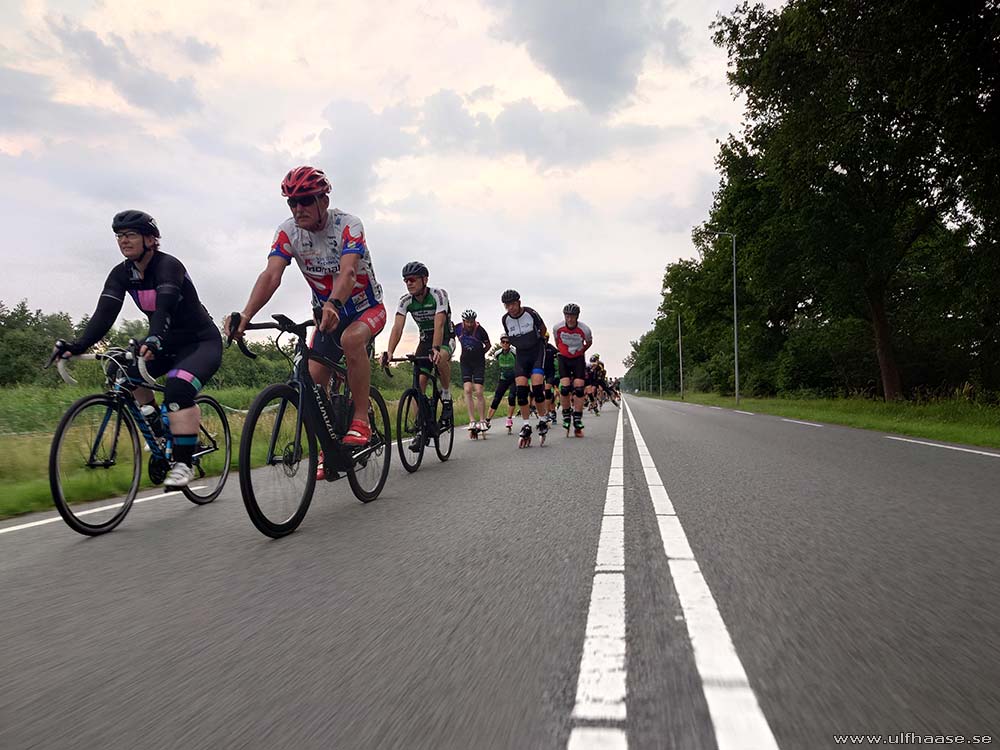 de Tocht der Gladiolen 2025