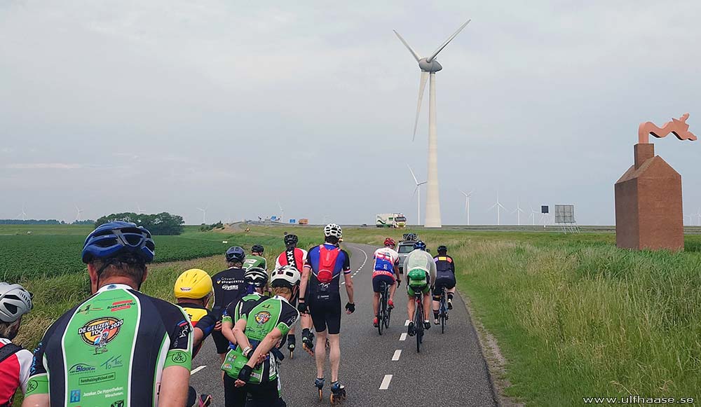 de Tocht der Gladiolen 2025