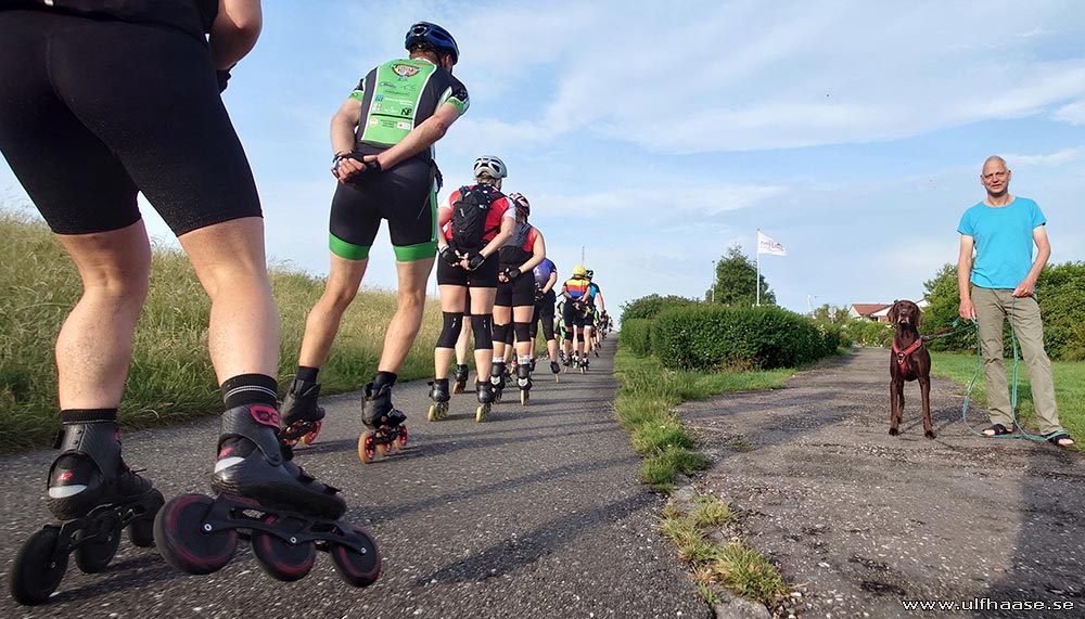 de Tocht der Gladiolen 2025