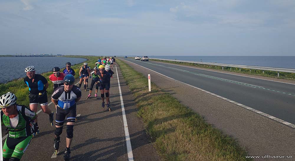 de Tocht der Gladiolen 2025