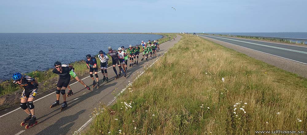 de Tocht der Gladiolen 2025