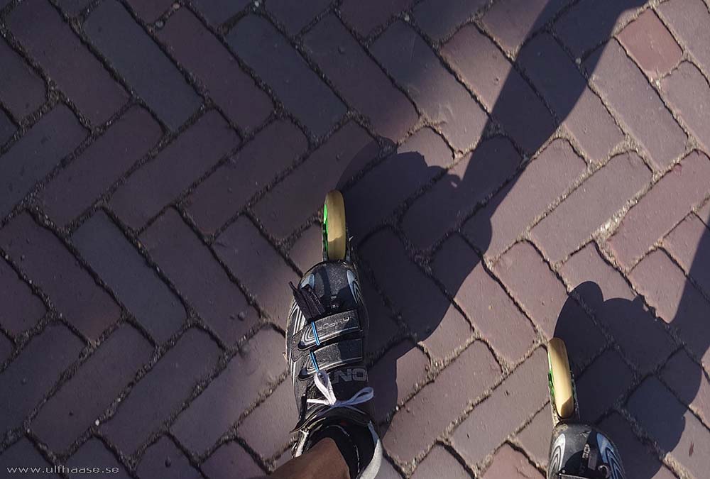 de Tocht der Gladiolen 2025