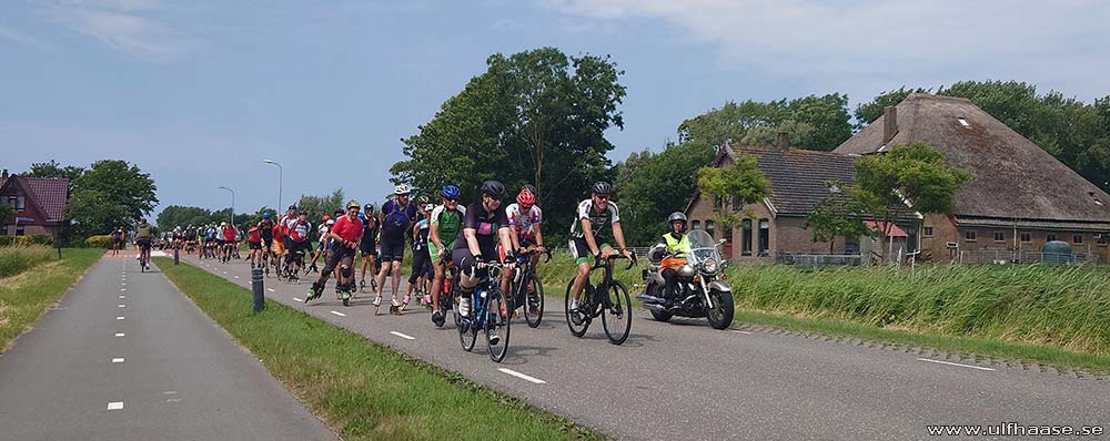 de Tocht der Gladiolen 2025