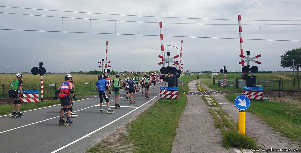 de Tocht der Gladiolen 2025