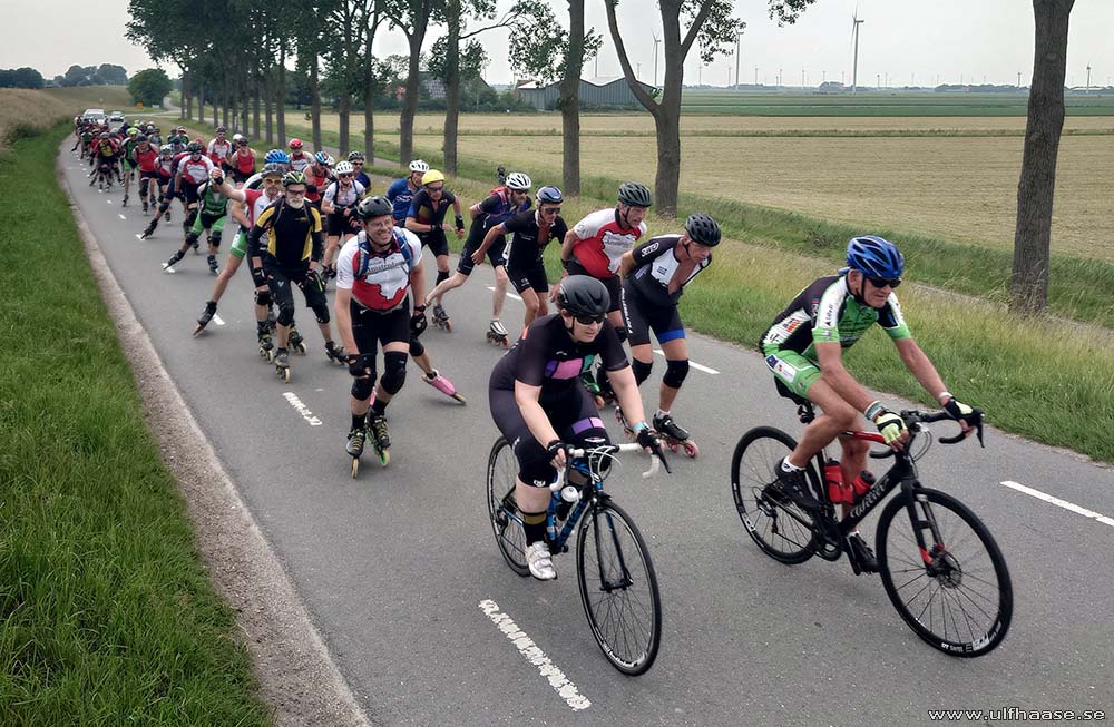 de Tocht der Gladiolen 2025
