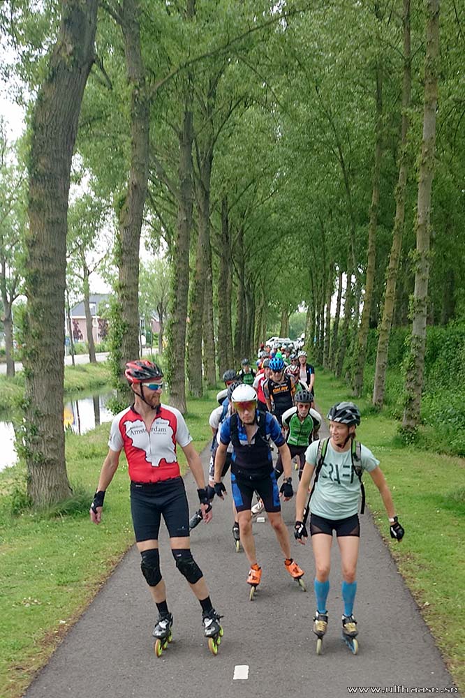 de Tocht der Gladiolen 2025