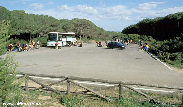 Experts in Speed Sardinien Sardinia 2002 inlines