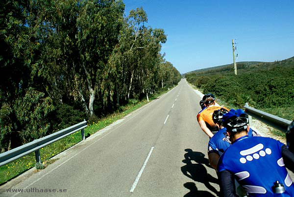 Experts in Speed Sardinien Sardinia 2003 inlines