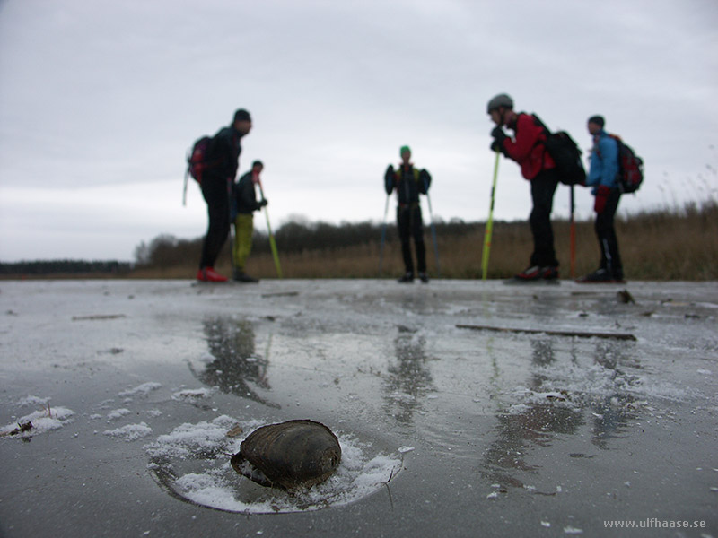 Ice skating on Arboga River/Arbogaån 2015.