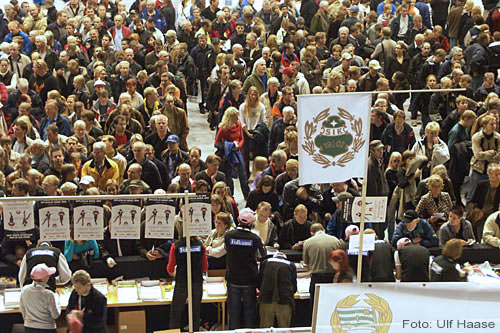 Tunnelloppet/the Tunnel Race Stockholm 2004